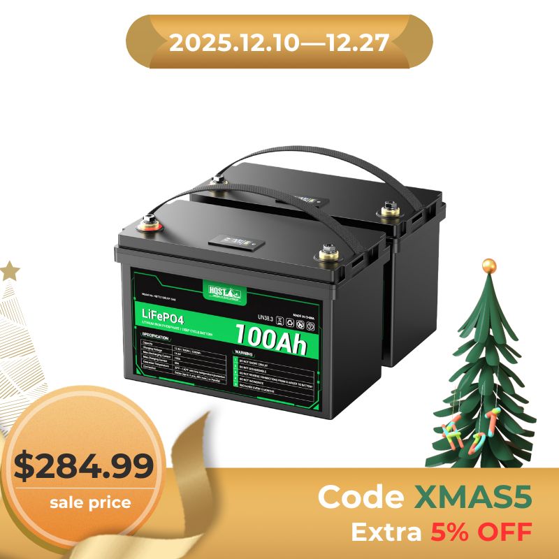 HQST 12V 100Ah Lithium Iron Phosphate LiFePO4 Battery with LED Display
