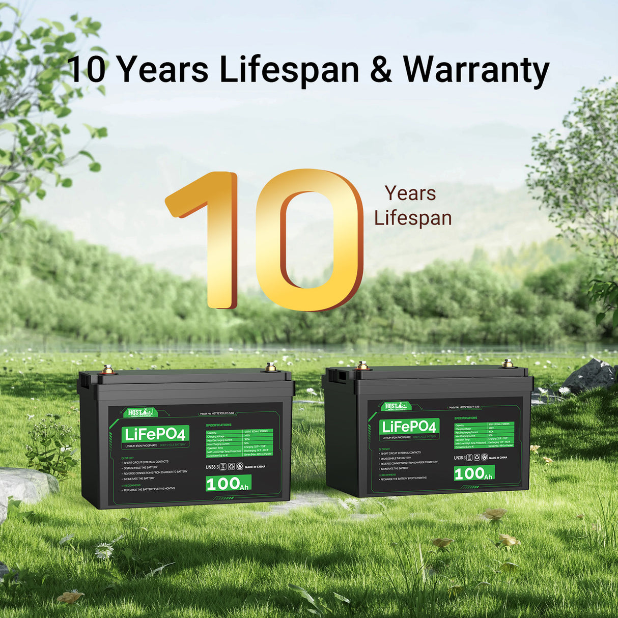 HQST 12V 100Ah LiFePO4 Lithium Battery(2 Pack)