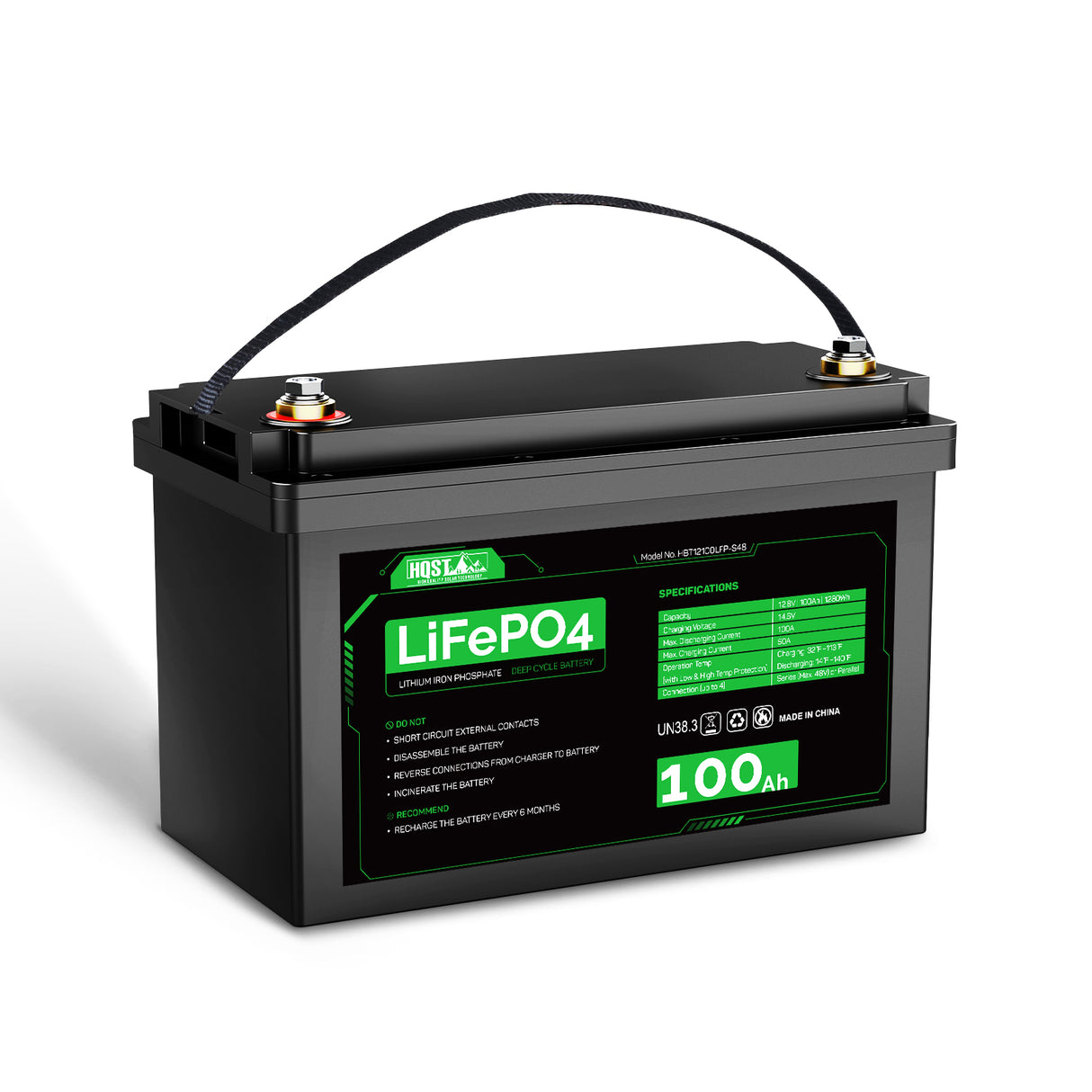 12V 100Ah Lithium Iron Phosphate LiFePO4 Battery with LED Display