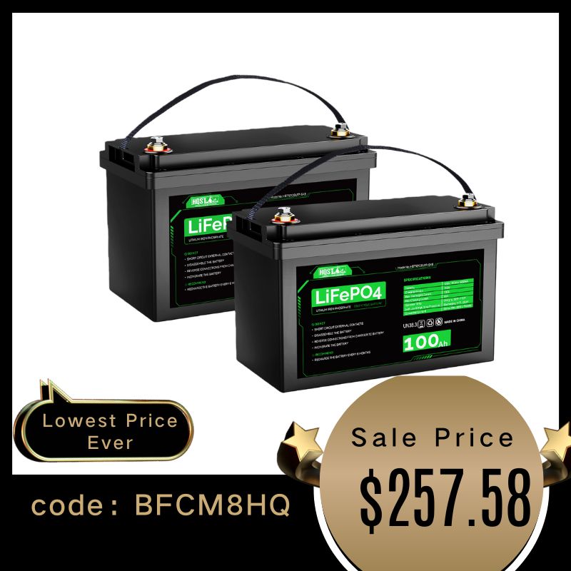 12V 100Ah LiFePO4 Lithium Iron Phosphate Battery