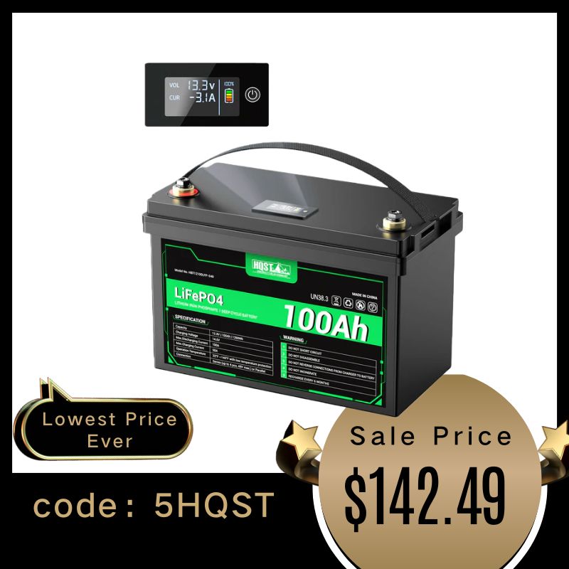 12V 100Ah Lithium Iron Phosphate LiFePO4 Battery with LED Display