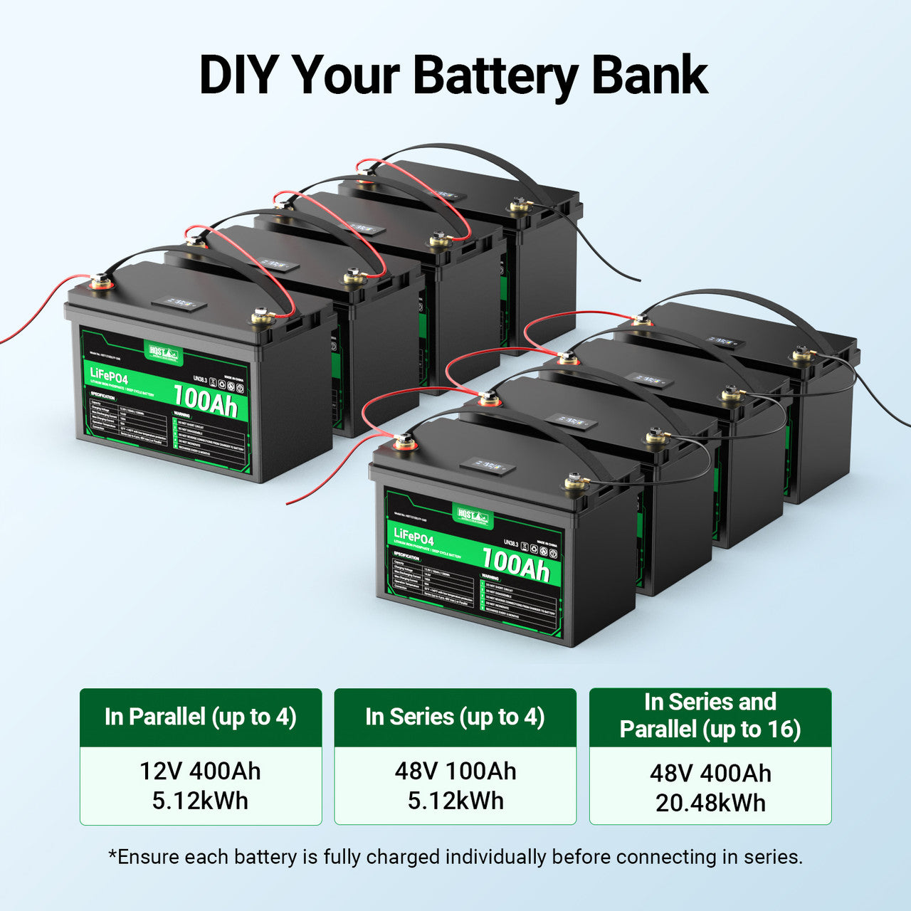 HQST 12 Volt 100Ah LiFePO4 Lithium Iron Phosphate Battery, Built